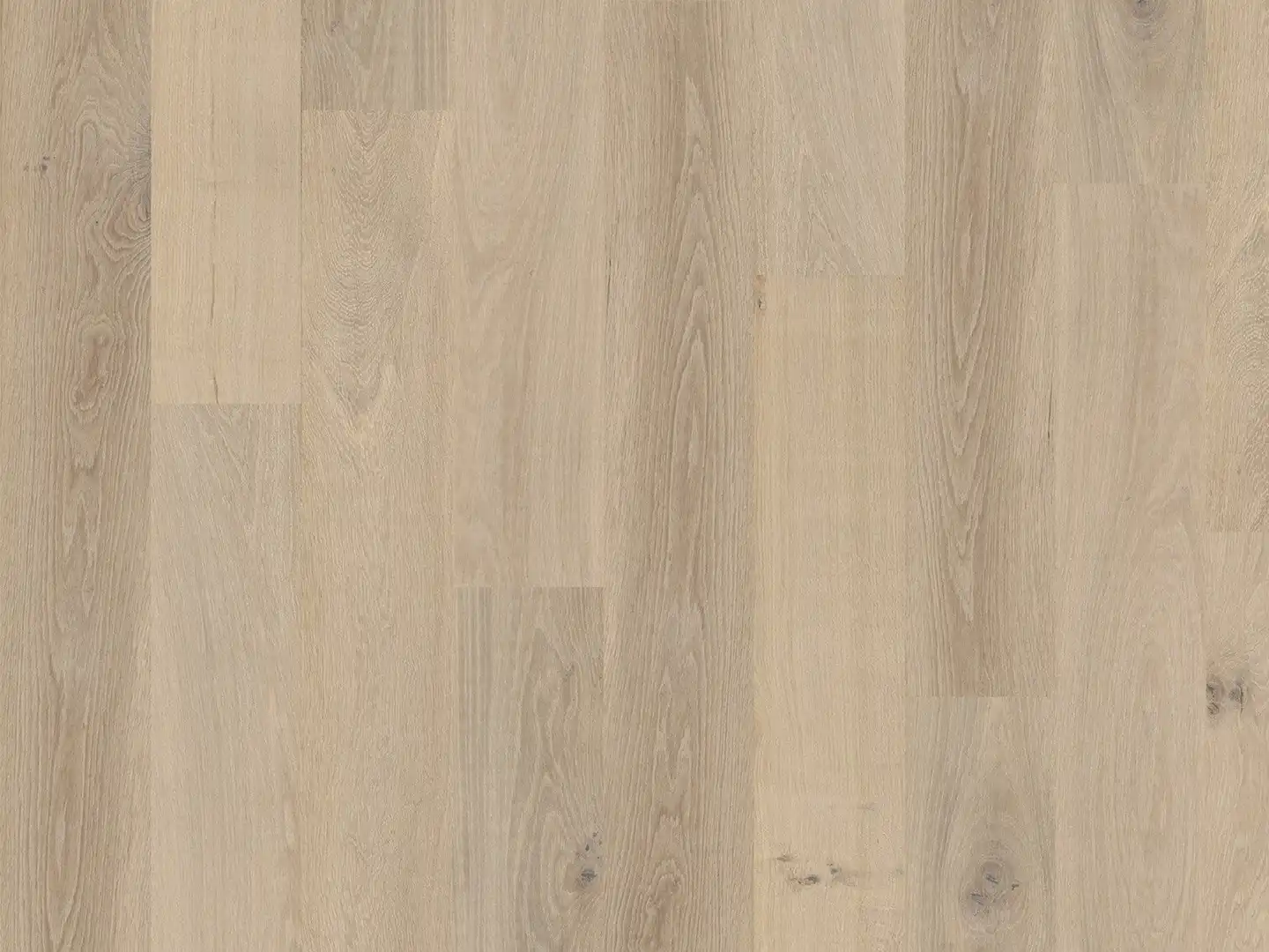  Duchateau Flooring Terra Collection